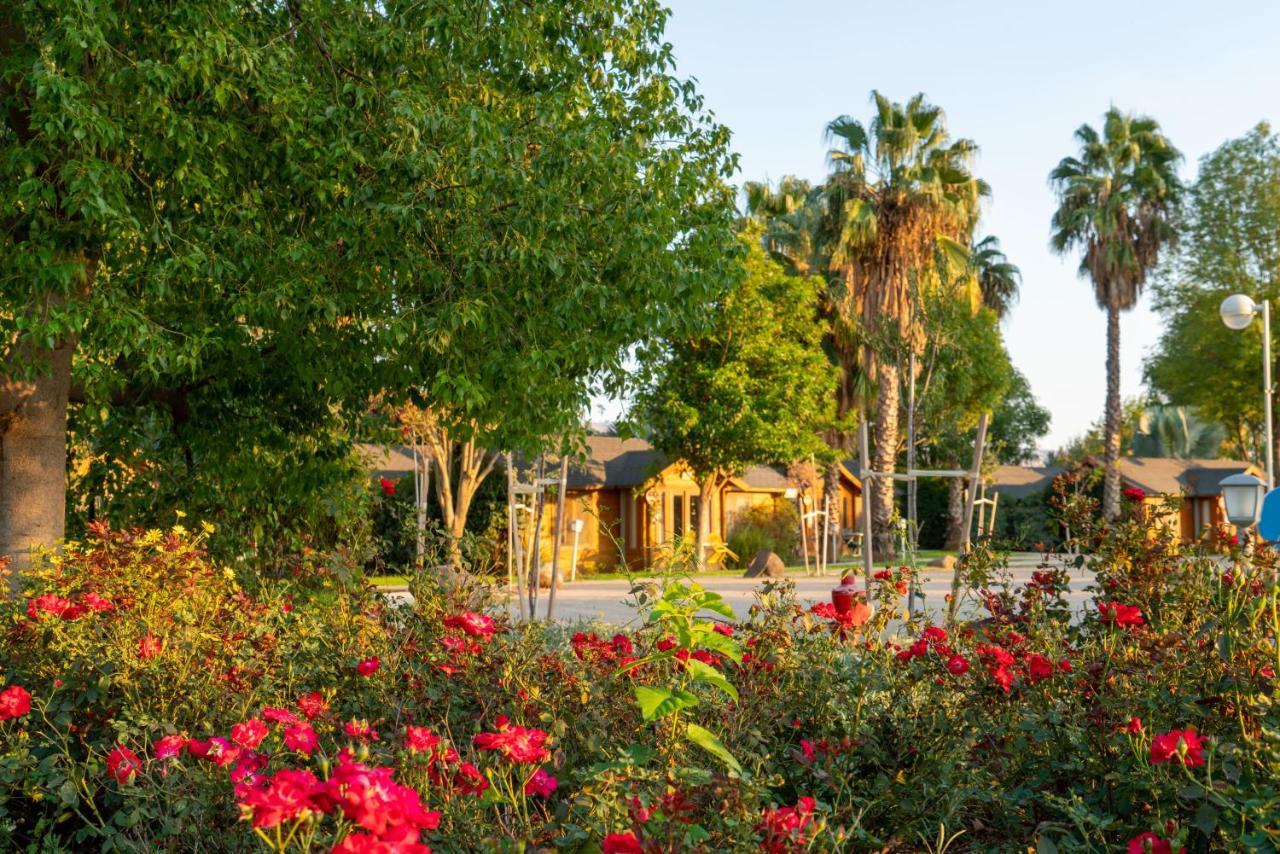 Station touristique The Village- Jordan Riverside Travel 3*