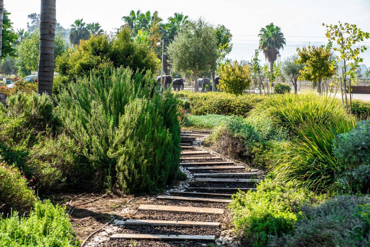 The Village- Jordan Riverside Travel
